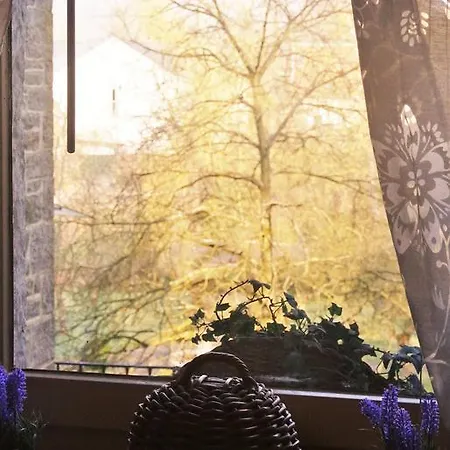Daire Chesterfield -view On Garden
